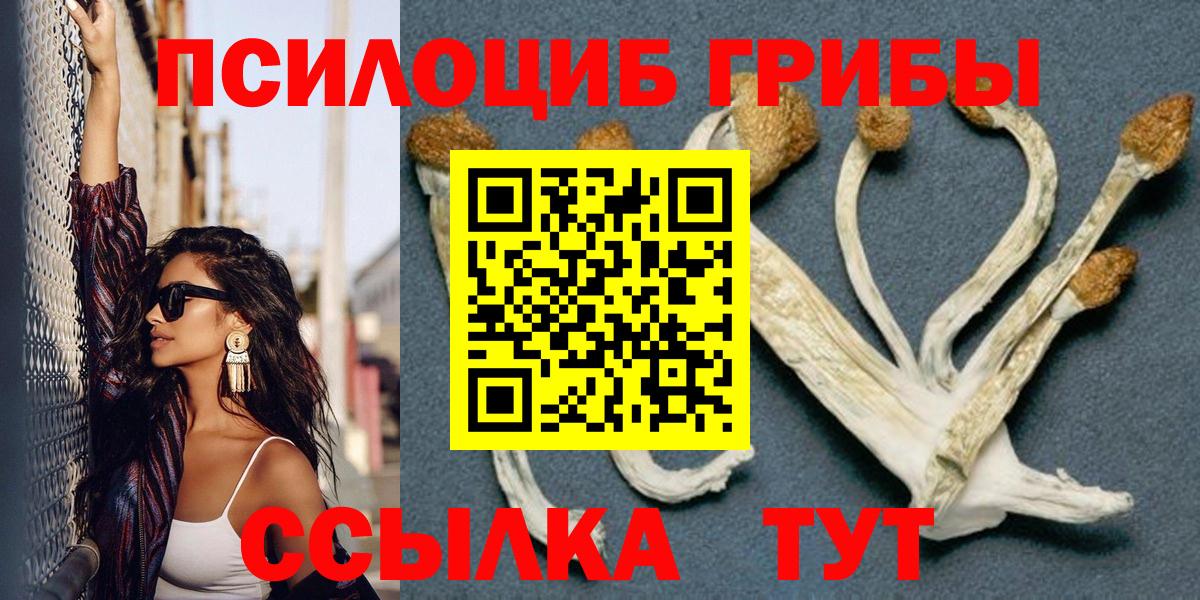 купить закладку  Вход с VPN  Апрелевка  Псилоцибиновые грибы мухоморы 