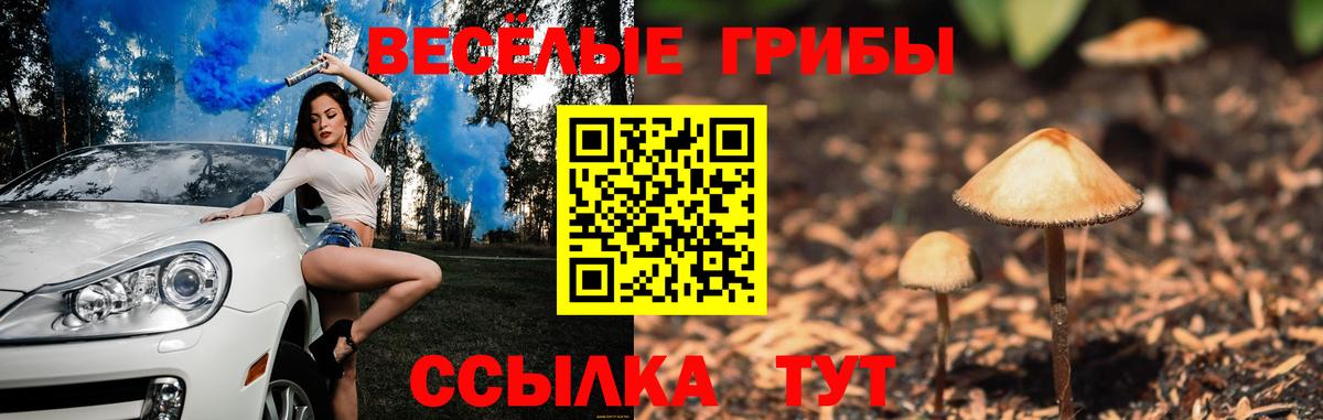 Псилоцибиновые грибы Magic Shrooms Апрелевка